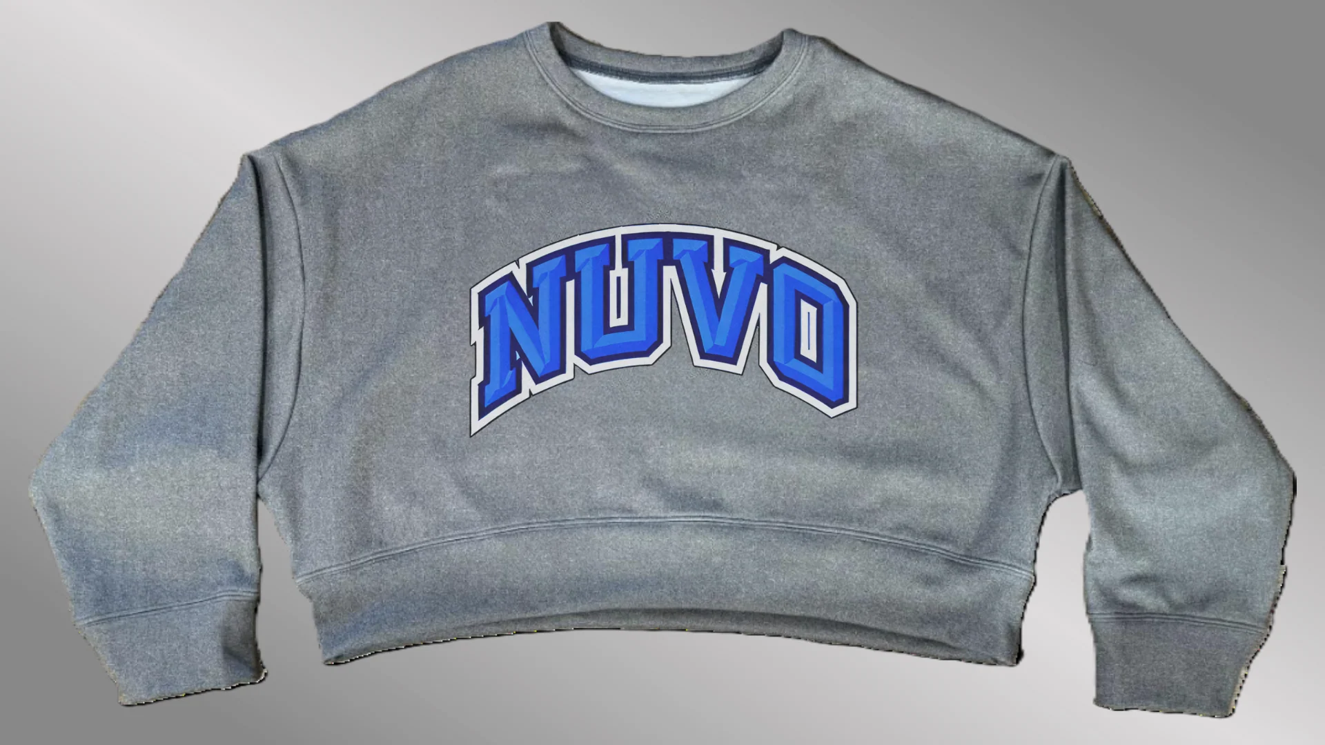 GRAY Omega Oversized Crop Sweatshirt | Arch Font - Image 4